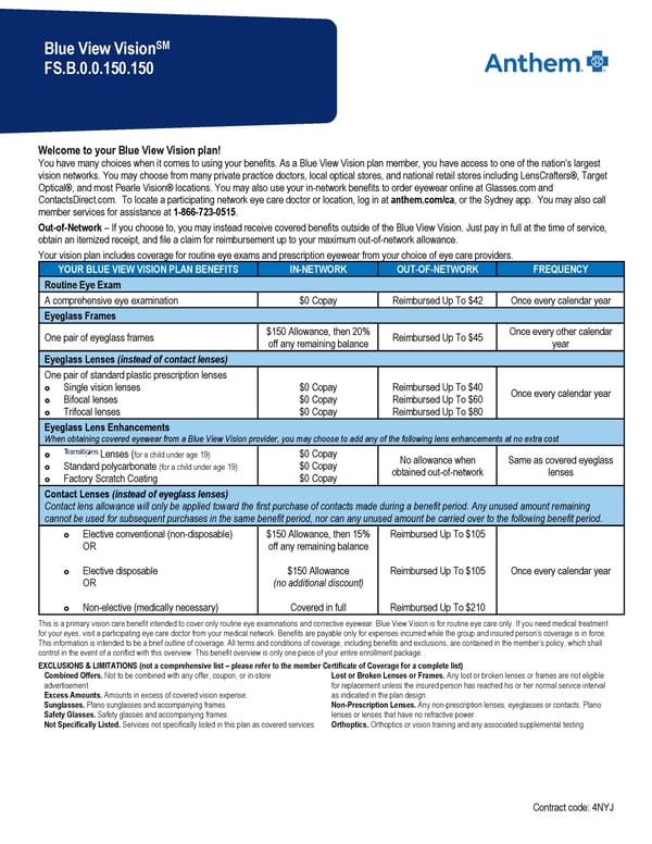 Vision Summary - Page 1