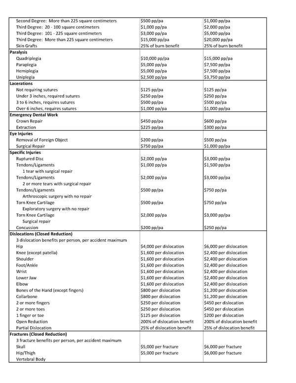 Accident Benefits Summary - Page 2