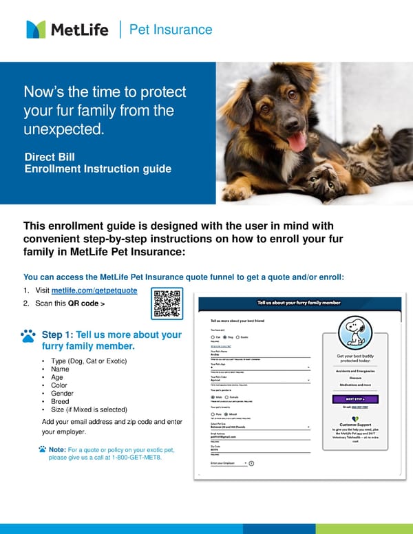 Pet Insurance - Page 1