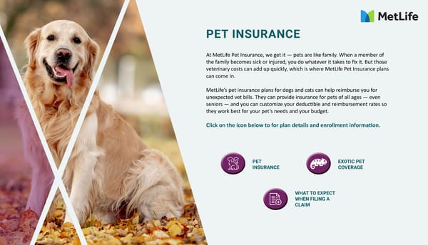 Achieva Benefit Guide 2025 - Page 22