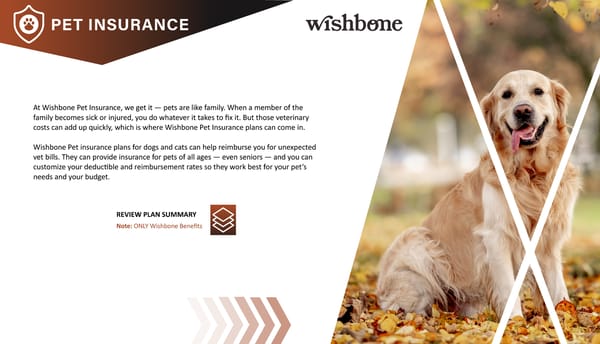 2026 Benefits Guide - Page 17