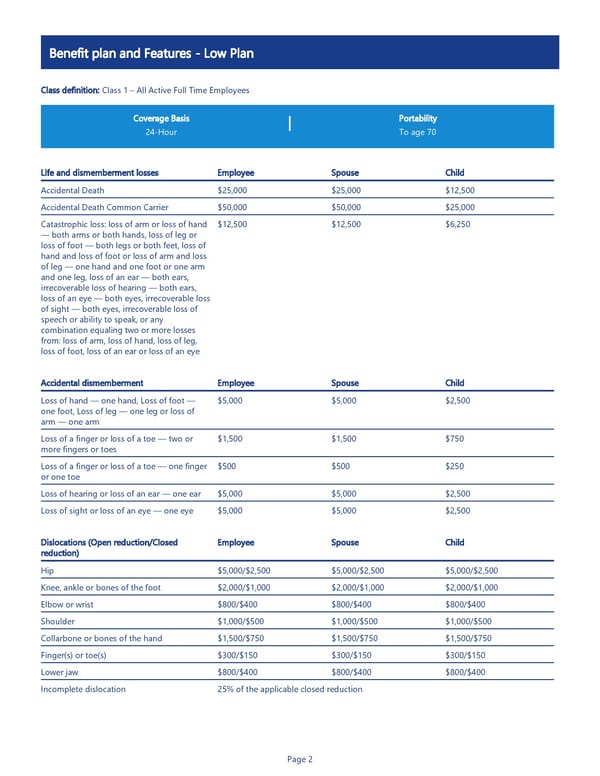 Accident Insurance Benefit Summary - Page 2