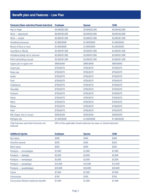 Accident Insurance Benefit Summary - Page 3