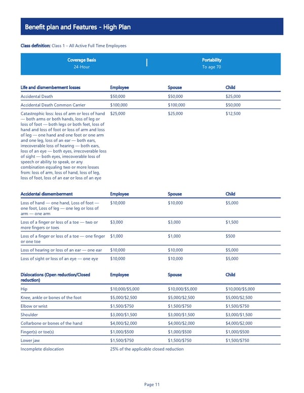 Accident Insurance Benefit Summary - Page 11