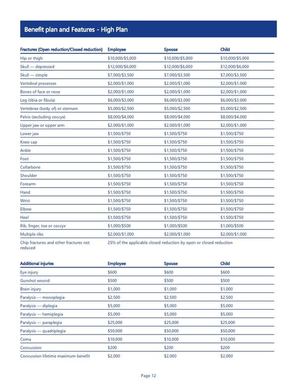 Accident Insurance Benefit Summary - Page 12