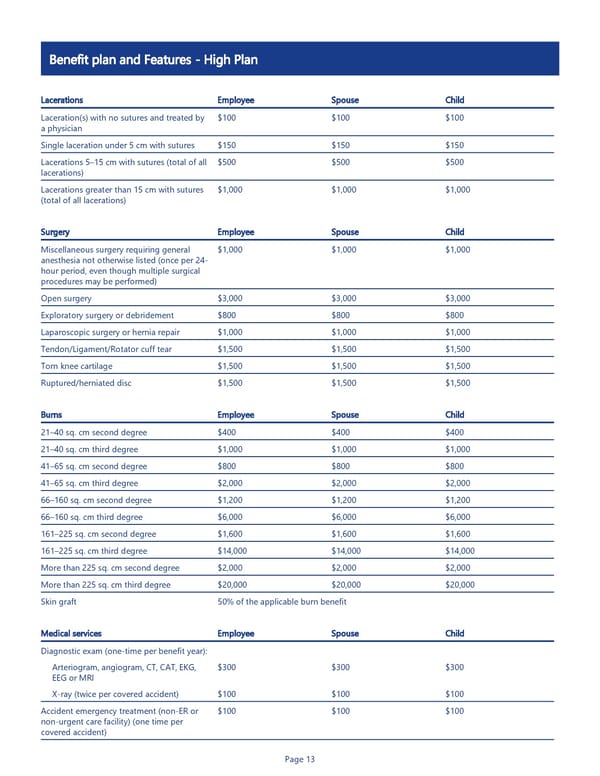 Accident Insurance Benefit Summary - Page 13