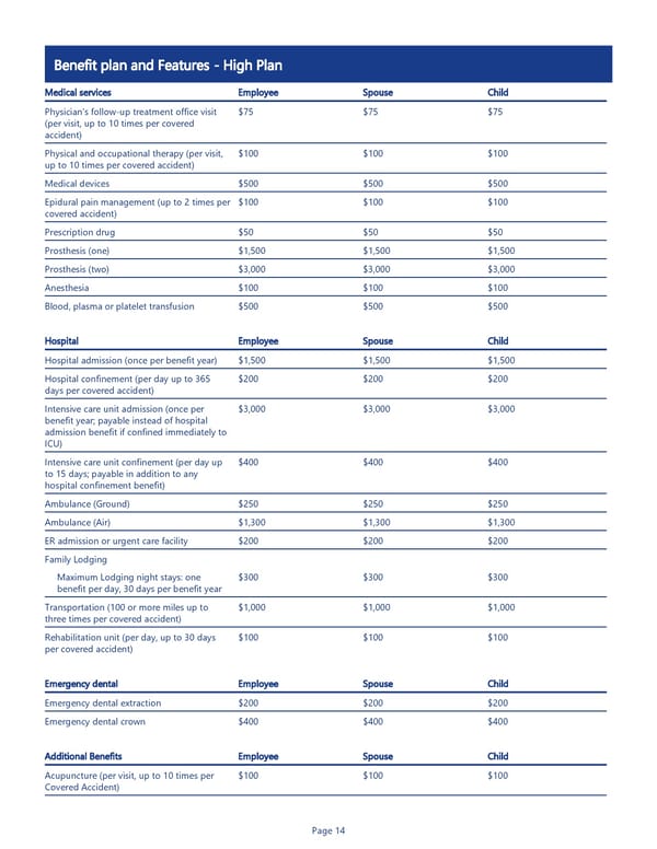 Accident Insurance Benefit Summary - Page 14