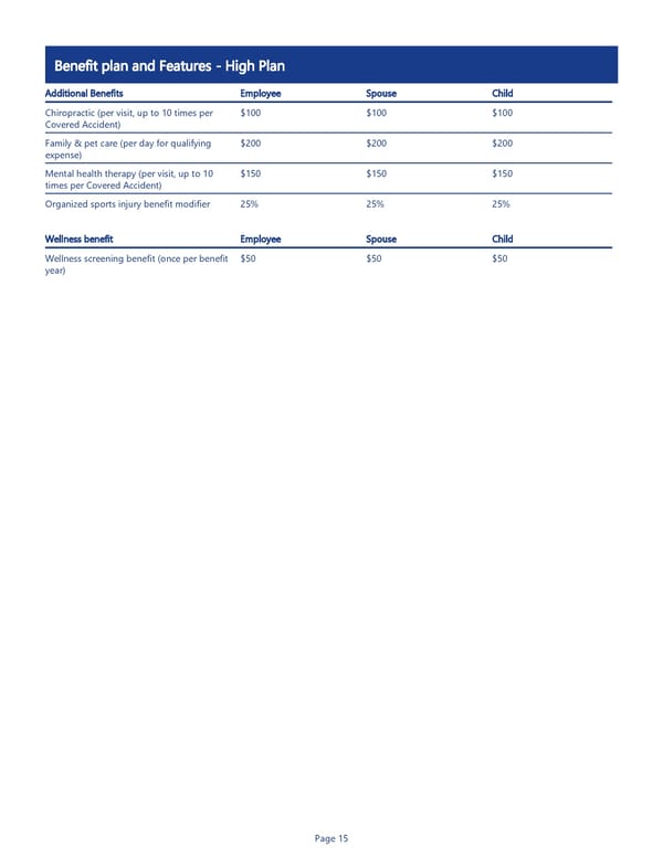 Accident Insurance Benefit Summary - Page 15